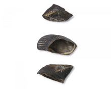 Load image into Gallery viewer, Bark &amp; Beyond - Cow Hooves
