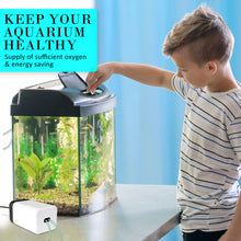 Load image into Gallery viewer, Dynamic Power Aquarium Air Pump Oxygen Hydroponic 2 Outlet 180L/H 4W

