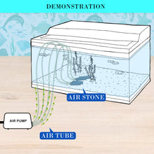 Load image into Gallery viewer, Dynamic Power Aquarium Air Pump Oxygen Hydroponic 2 Outlet 180L/H 4W
